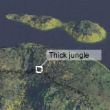 Thick jungle